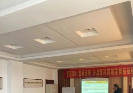 公司聘請金藍盟項目組進行咨詢和培訓